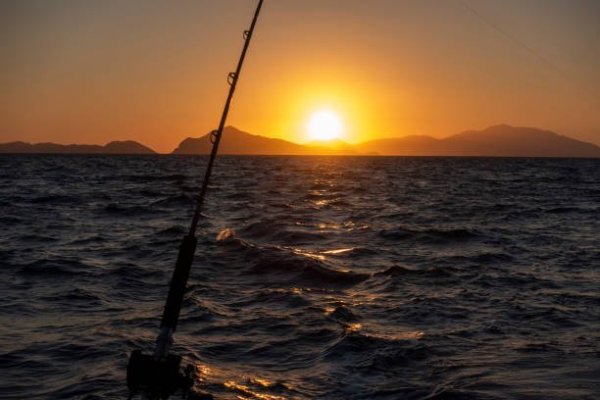 Deep Sea Fishing 1