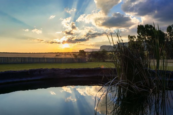 Photographic Safaris 18