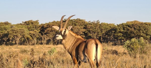 Photographic Safaris 5