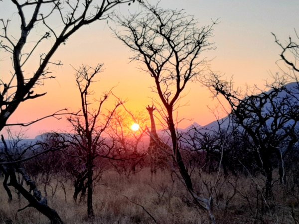 Photographic Safaris 6